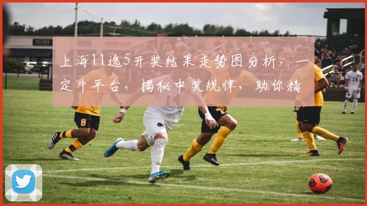 上海11选5开奖结果走势图分析，一定牛平台，揭秘中奖规律，助你精准投注